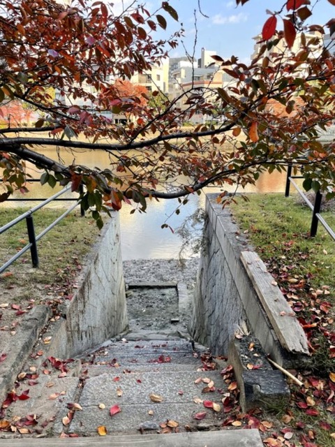 ANGJcNVQQpqoKavr8FY3uQ