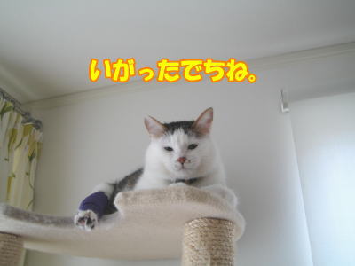 345f3171.jpg
