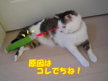 74f4f40b.jpg