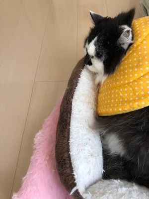 190520_10