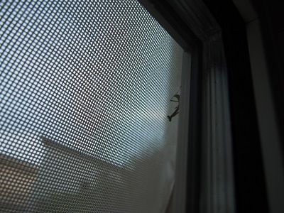 180705_15