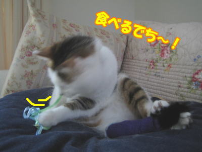 f4a633f8.jpg