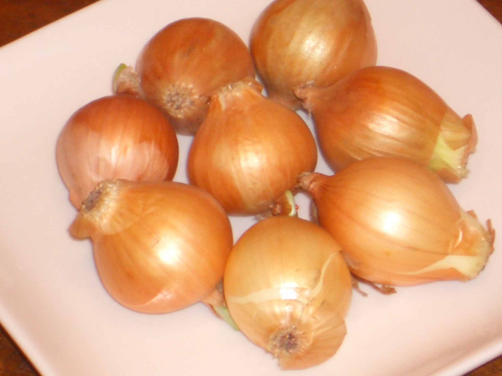 ペコロス 井上智美のこころと身体の栄養レシピ