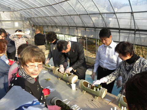DSCN0797