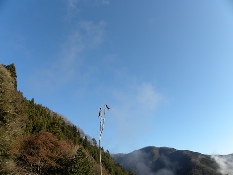DSCN3429
