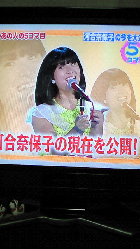 河合奈保子 達也のテキトー日記 河合奈保子 達也のテキトー日記