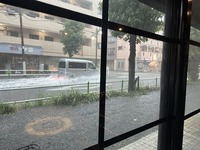 IMG_0184