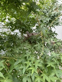 IMG_0199