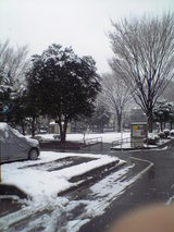 060121snow