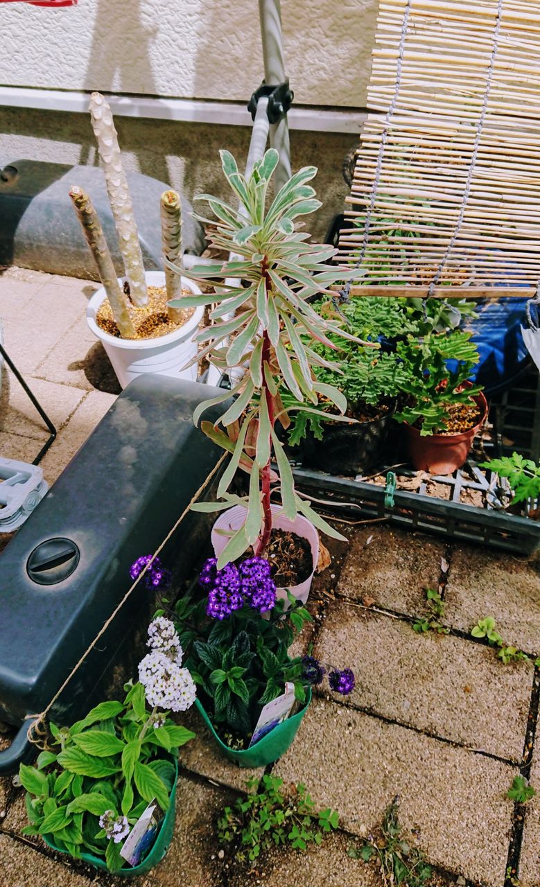 暖かくなったよ Inside And Outside In Garden