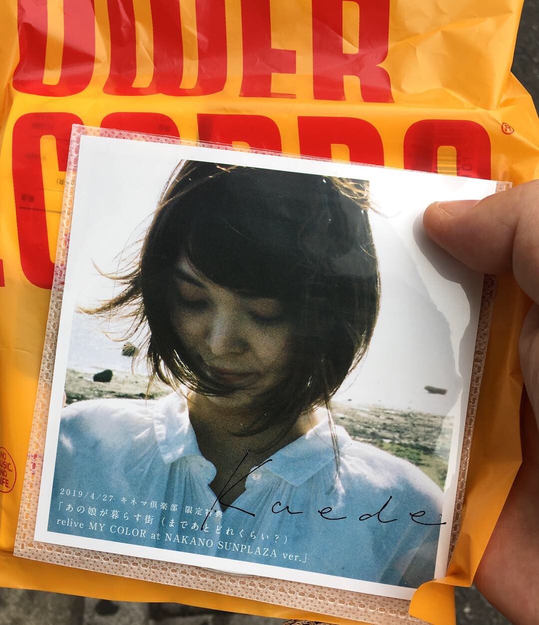 Kaedeソロ始めます を伝えるライブ 2019春 ヒグえもんのブログ