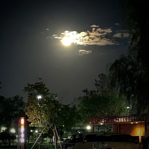 20210920_094912172_iOS