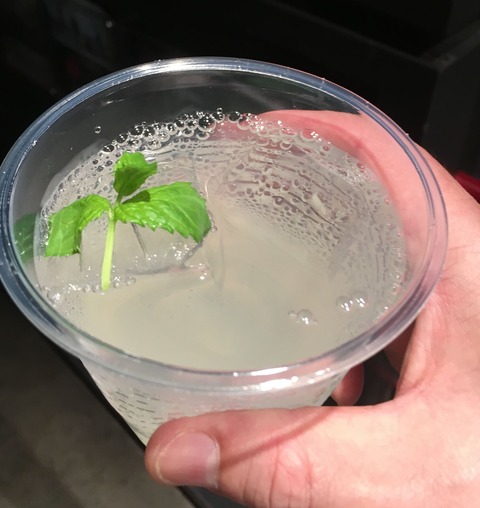 20180818_085305276_iOS