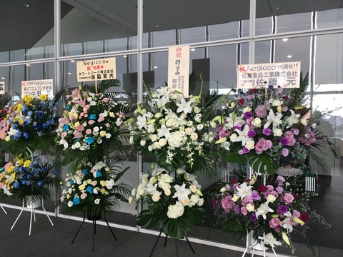 20180721_074549365_iOS