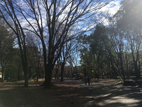 20191223_023530647_iOS