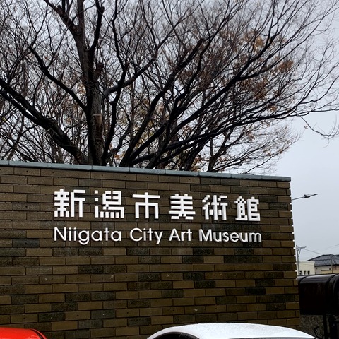 20231201_042235712_iOS