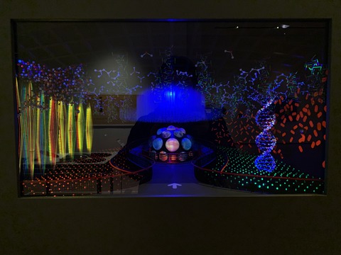 20210126_052058423_iOS
