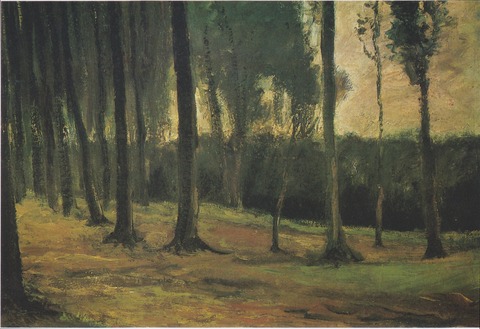 Van_Gogh_-_Waldrand