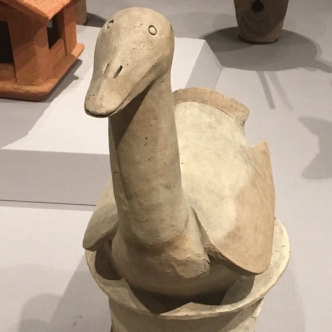 20180519_061450244_iOS