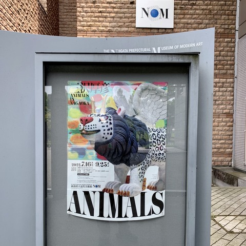 20220810_035208903_iOS