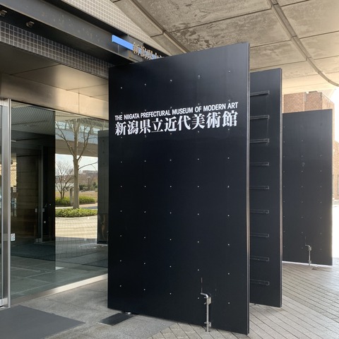 20200412_031343616_iOS