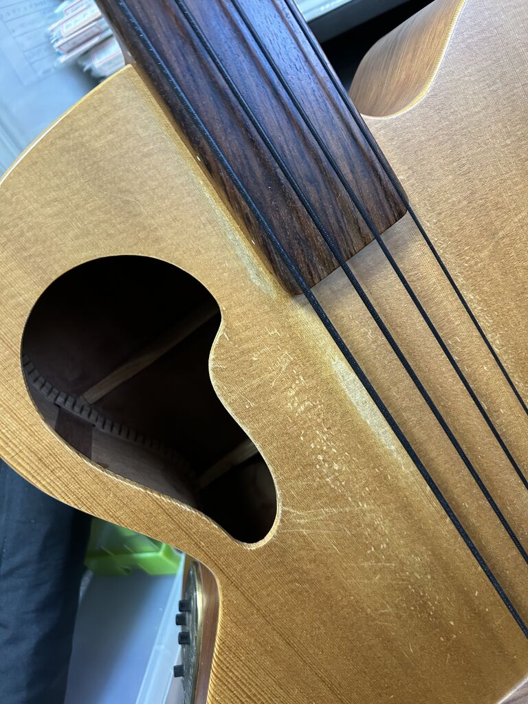 tacoma acoustic bass : sahoux
