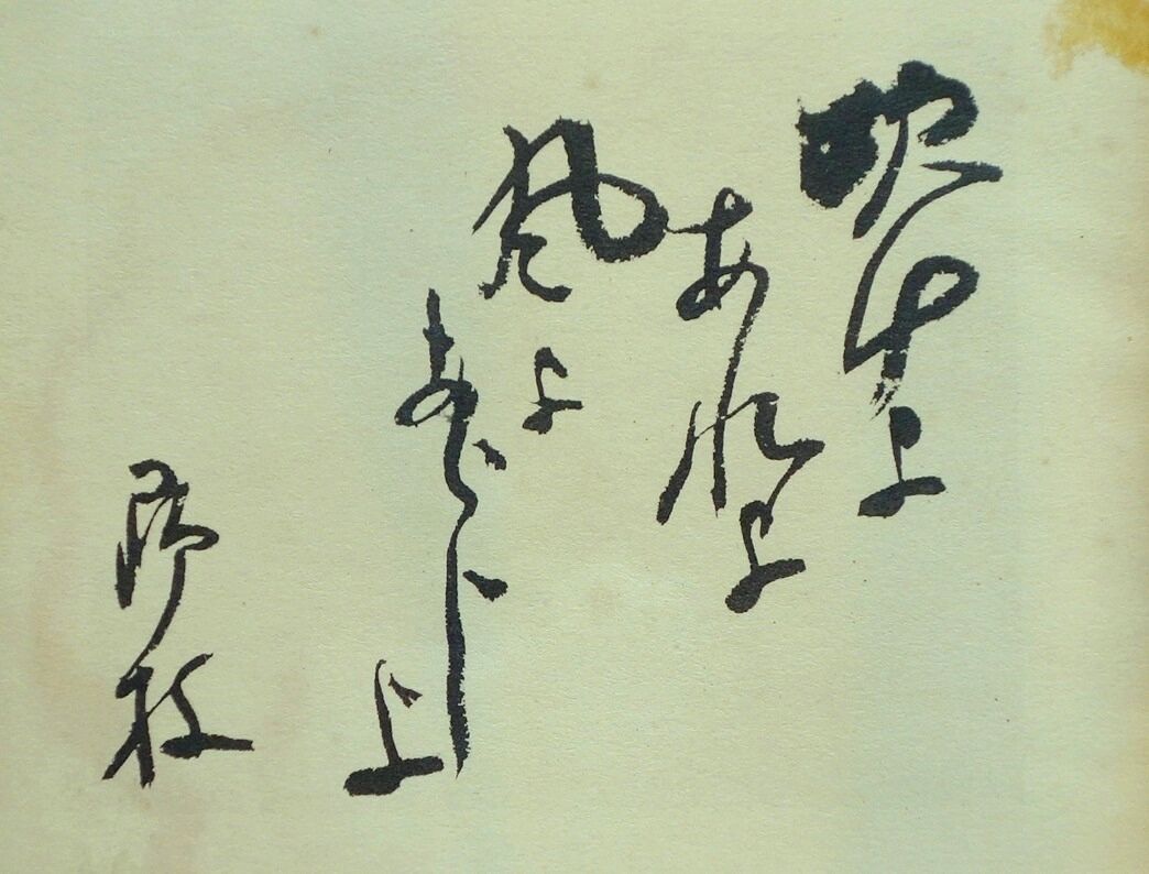 青鞜の周辺 : 森のイグレク