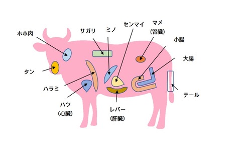 飲食経験40年のblog : 牛 サガリ
