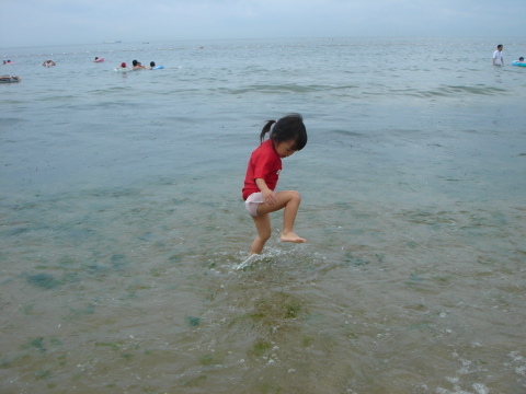 夏なので 海へ 美浜知多奥田小野浦海水浴場 毎日忙しいのですは