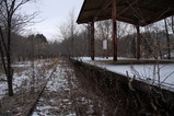 IMG_6196