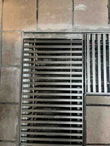 IMG_3196