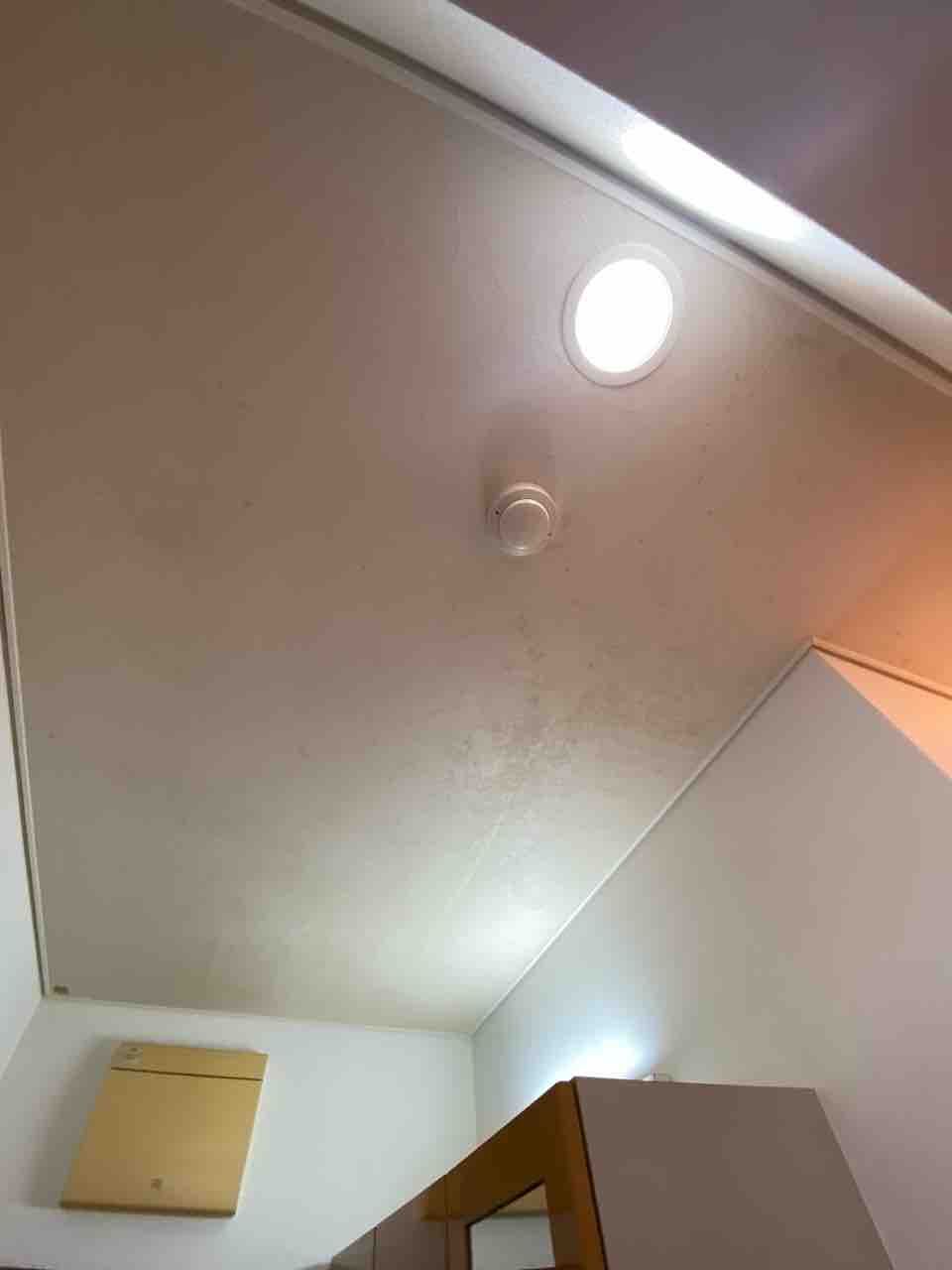 天井クロス インテリアさつき