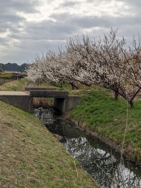 PXL_20220316_000413380