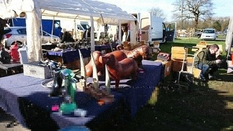 IMG_20190305_133211_046