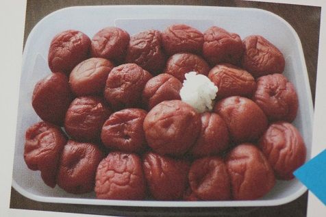 おバカ弁当 その２ アンティム ティムの日記