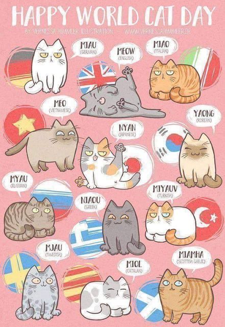 猫の鳴き声　アメリカ「ミャウミャウ」中国「ミュンミュン」ロシア「ミーミー」インド「ミーエミーエ」