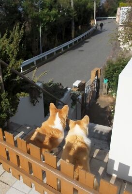 雨が来る前に