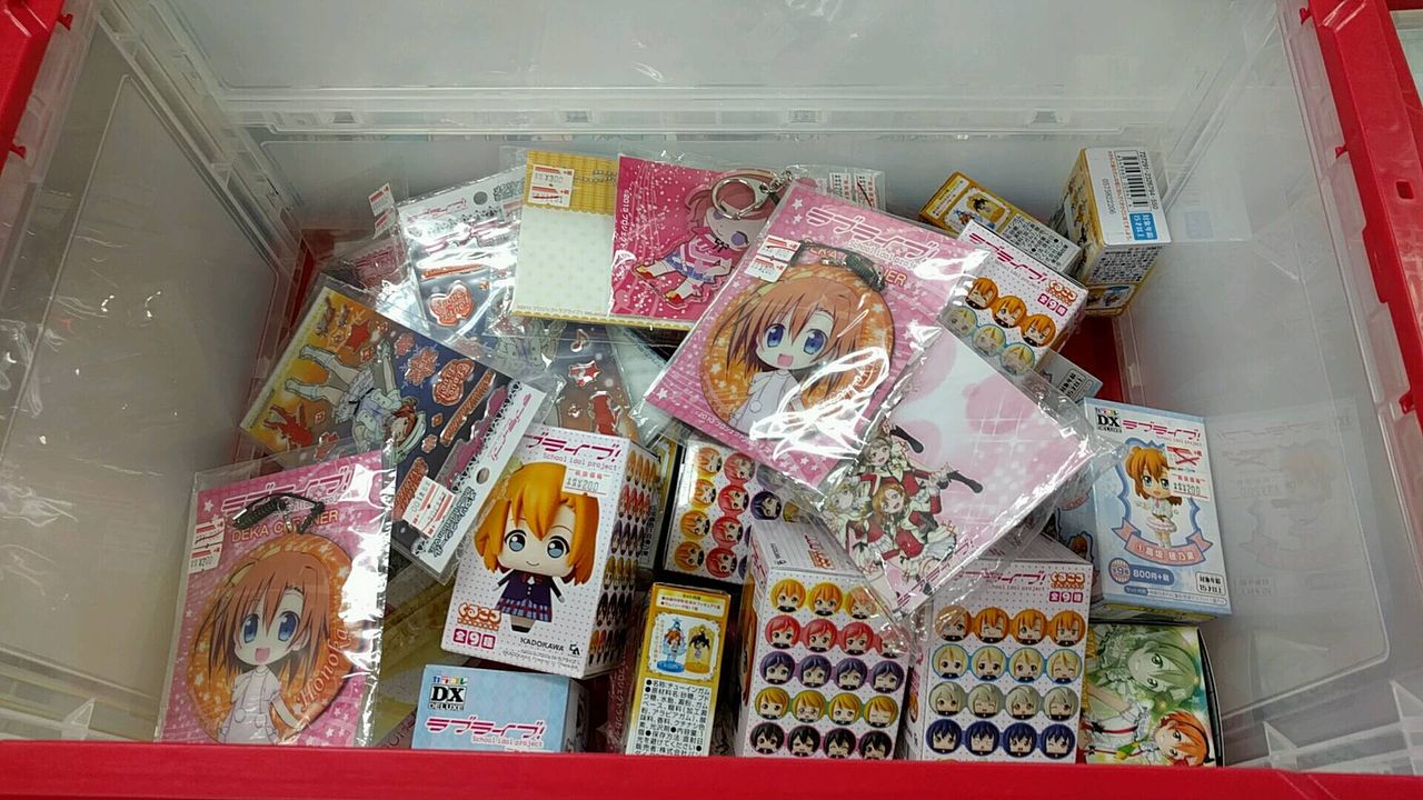 未確認のアンノウン 豚の日常