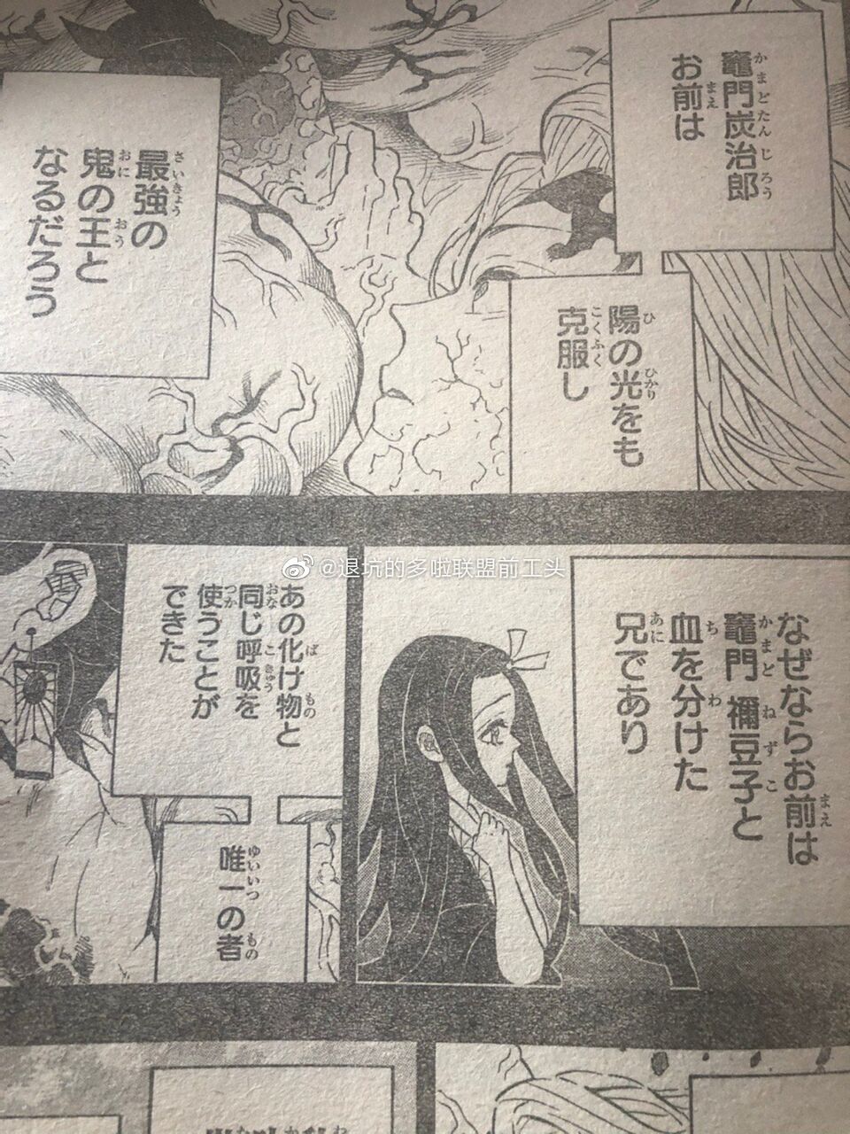 豚の日常 豚の日常