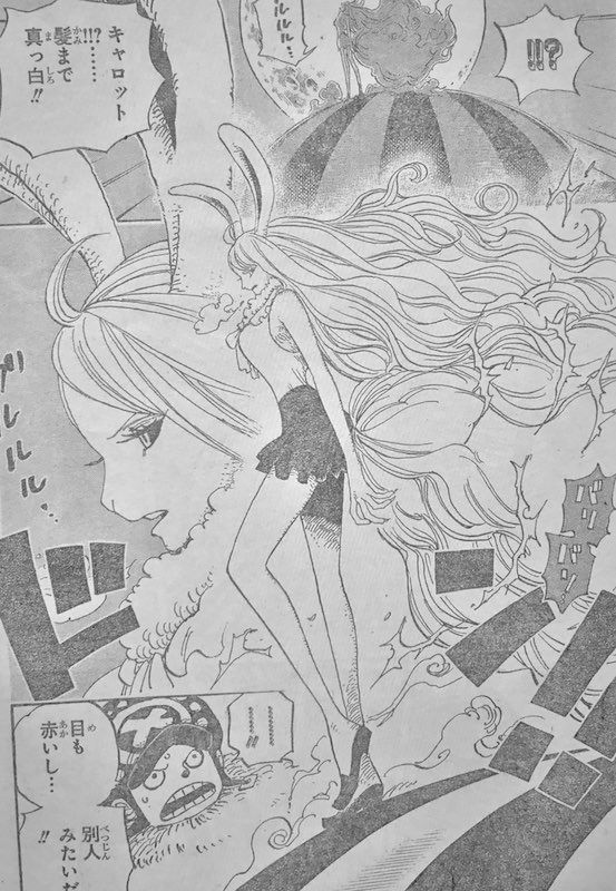 豚の日常 17年12月