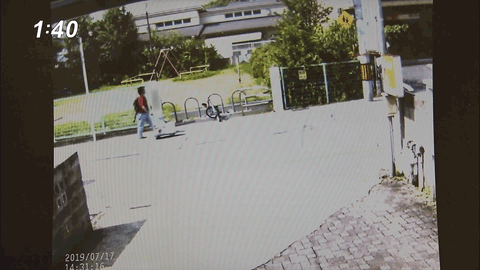 豚の日常 豚の日常