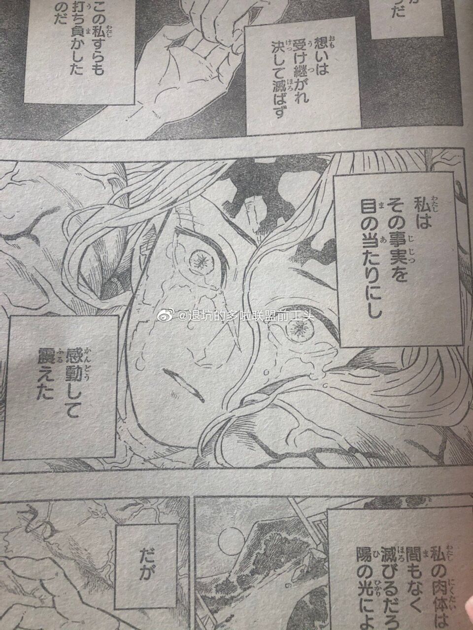 豚の日常 豚の日常