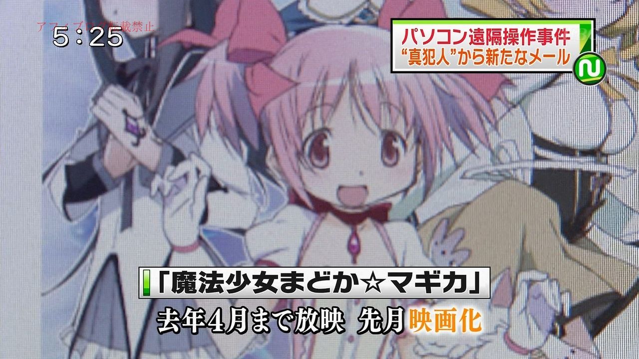 豚の日常