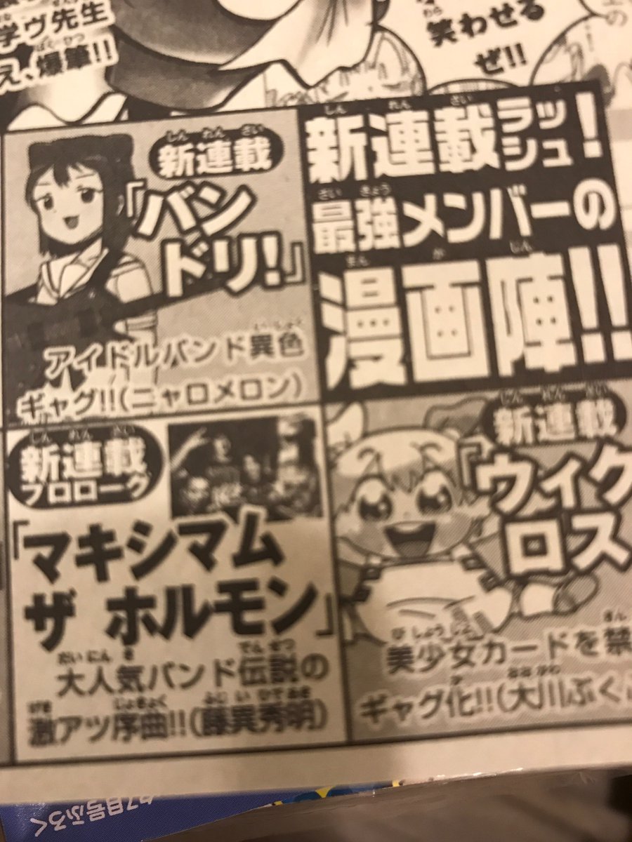 豚の日常