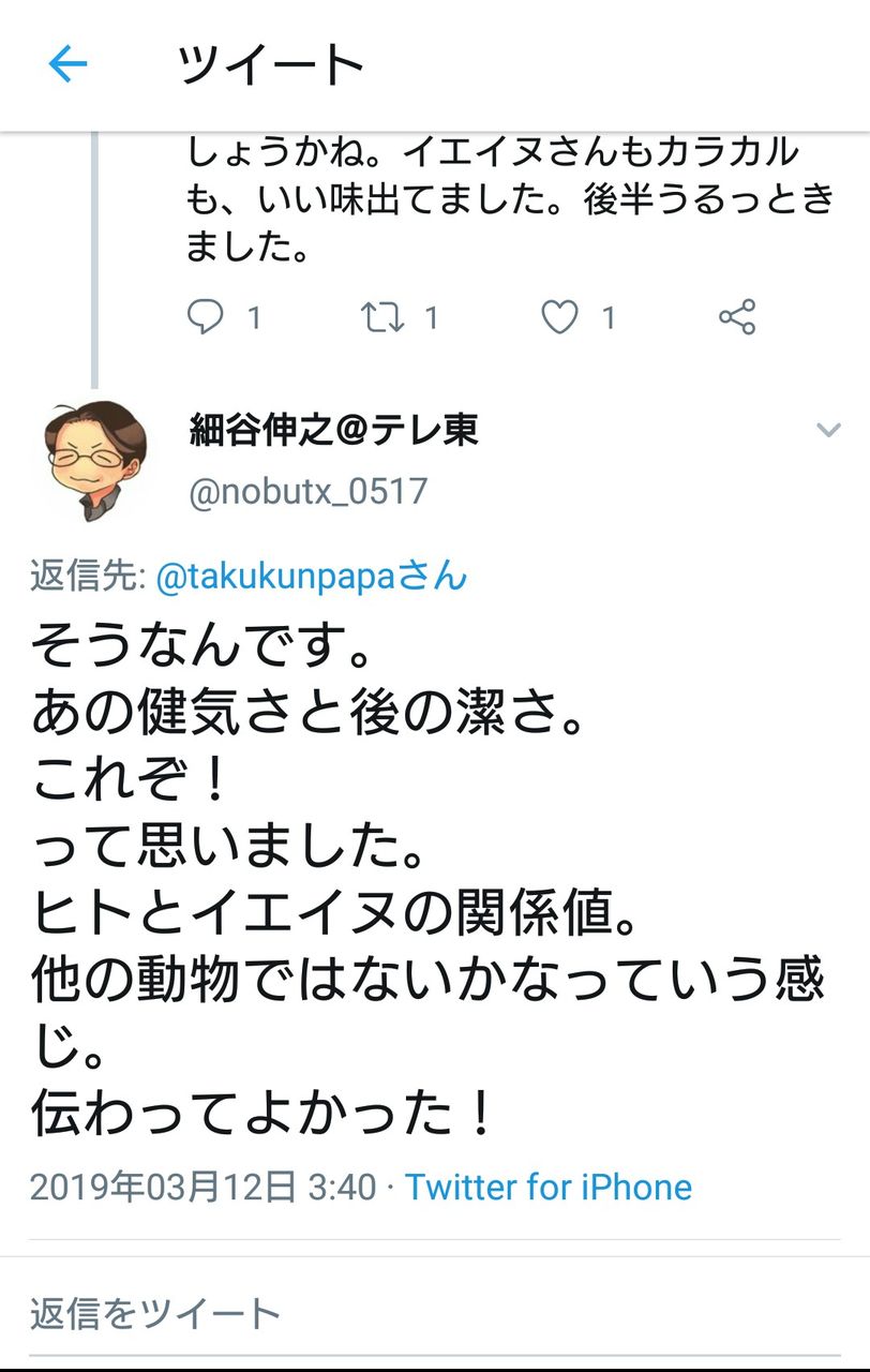 未来へお帰り 豚の日常