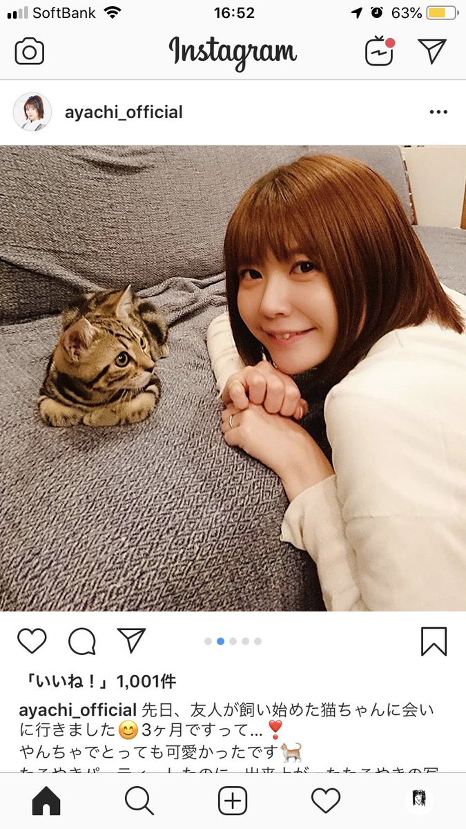 どっちが上かわからせていかんとな 豚の日常