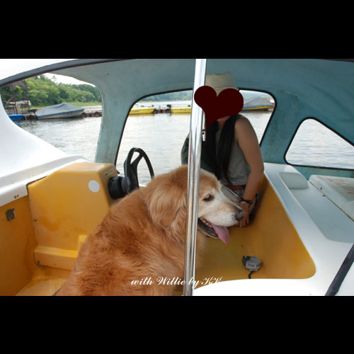 山中湖でスワンボートに乗ったよ Willieといっしょ