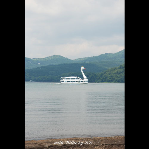 山中湖でスワンボートに乗ったよ Willieといっしょ