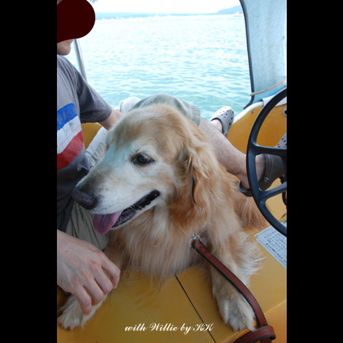 山中湖でスワンボートに乗ったよ Willieといっしょ