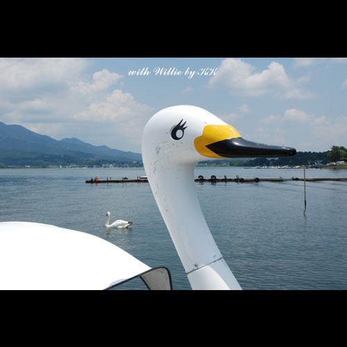 山中湖でスワンボートに乗ったよ Willieといっしょ